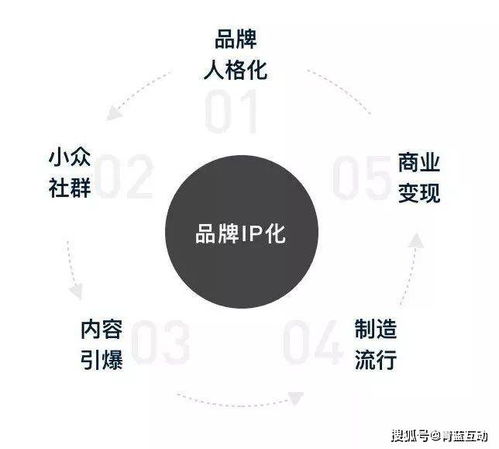 品牌IP的圈層化 互聯(lián)網(wǎng)營(yíng)銷(xiāo)聯(lián)動(dòng)下的新機(jī)遇